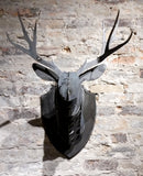 Deer Head - small - Arc Academy